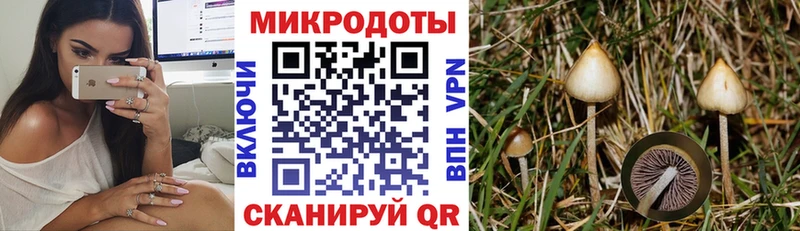 Псилоцибиновые грибы GOLDEN TEACHER цены Бийск